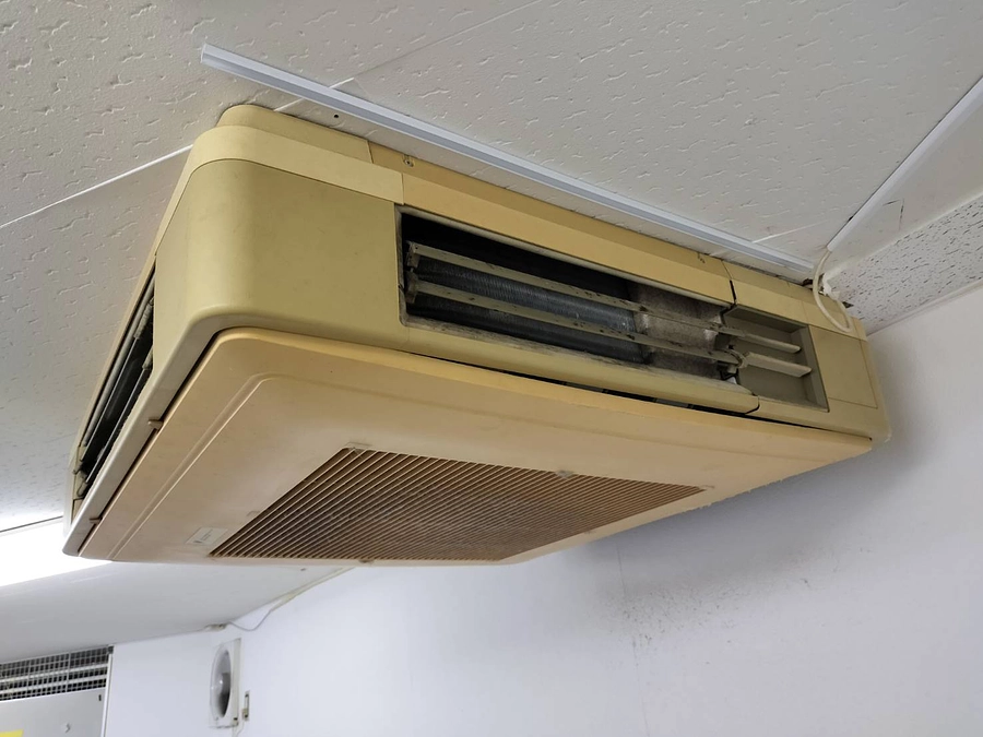 最後まで尻尾の生えた天使たちのためにお力添え宜しくお願い申し上げます。