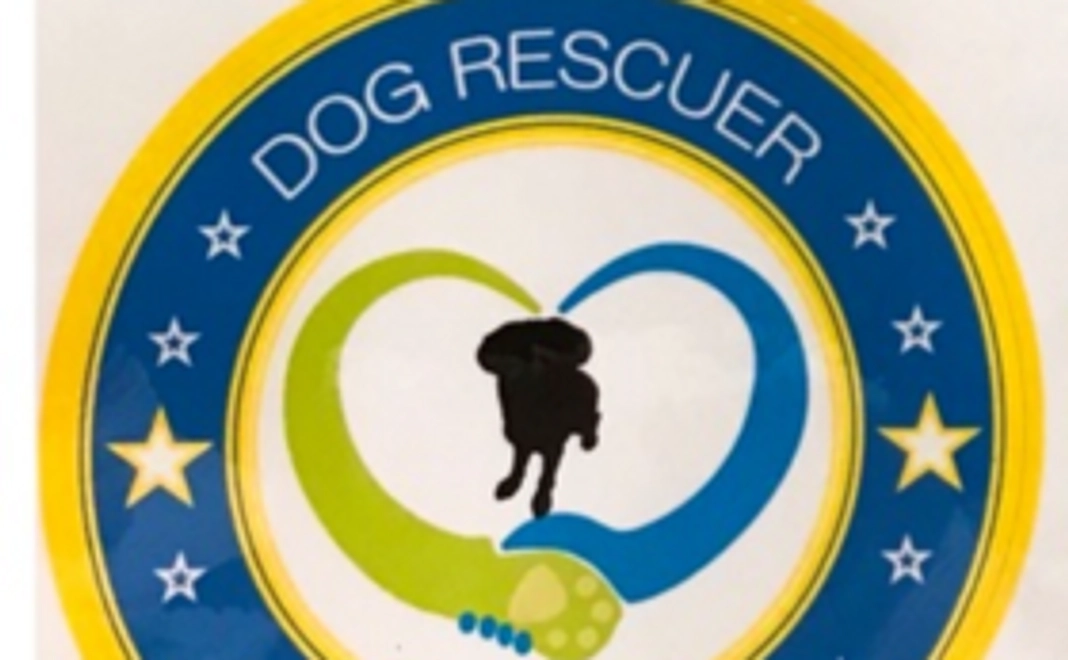 保護わんをステッカーで応援！コース