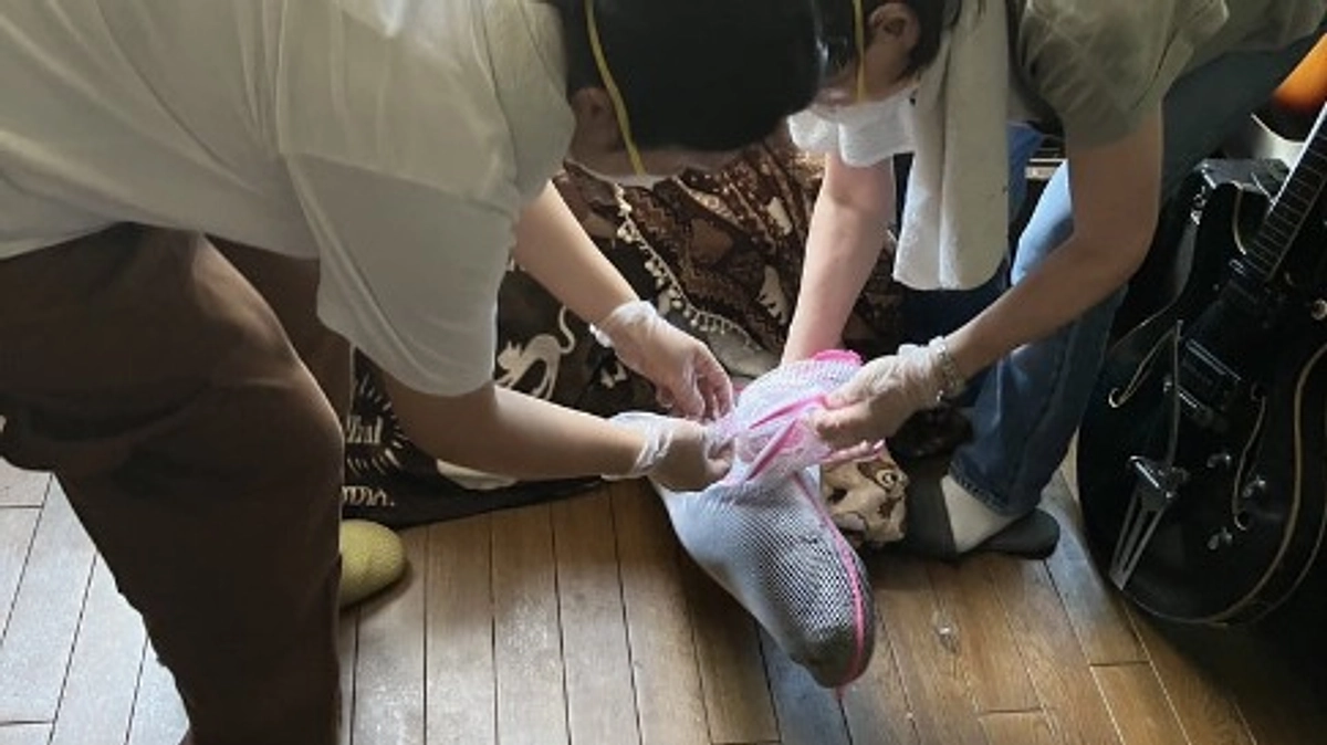 【2023年、2度目の多頭飼育崩壊現場対応 〜その2〜 】黒猫は見つけにくい