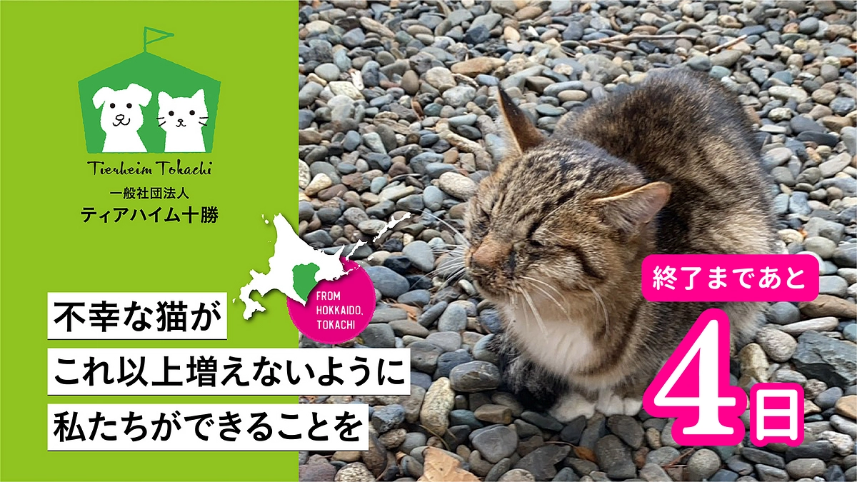 【あと4日】いただいた応援メッセージのご紹介