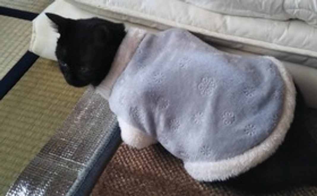 ②写真と感謝のメール