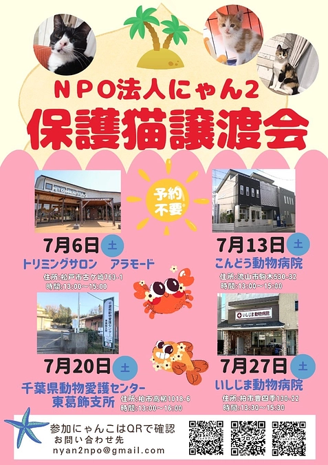 明日は、保護ねこ譲渡会です。