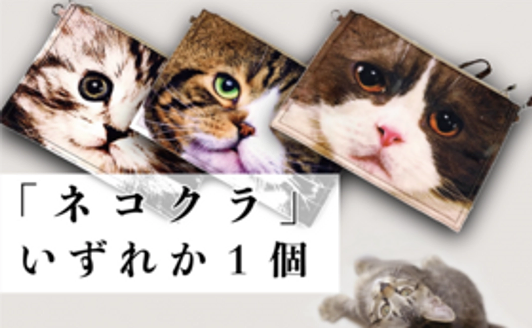 ネコクラ1個