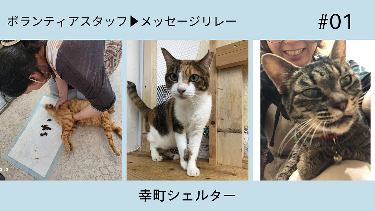 ボランティアスタッフメッセージリレー【幸町シェルターボランティアスタッフ】