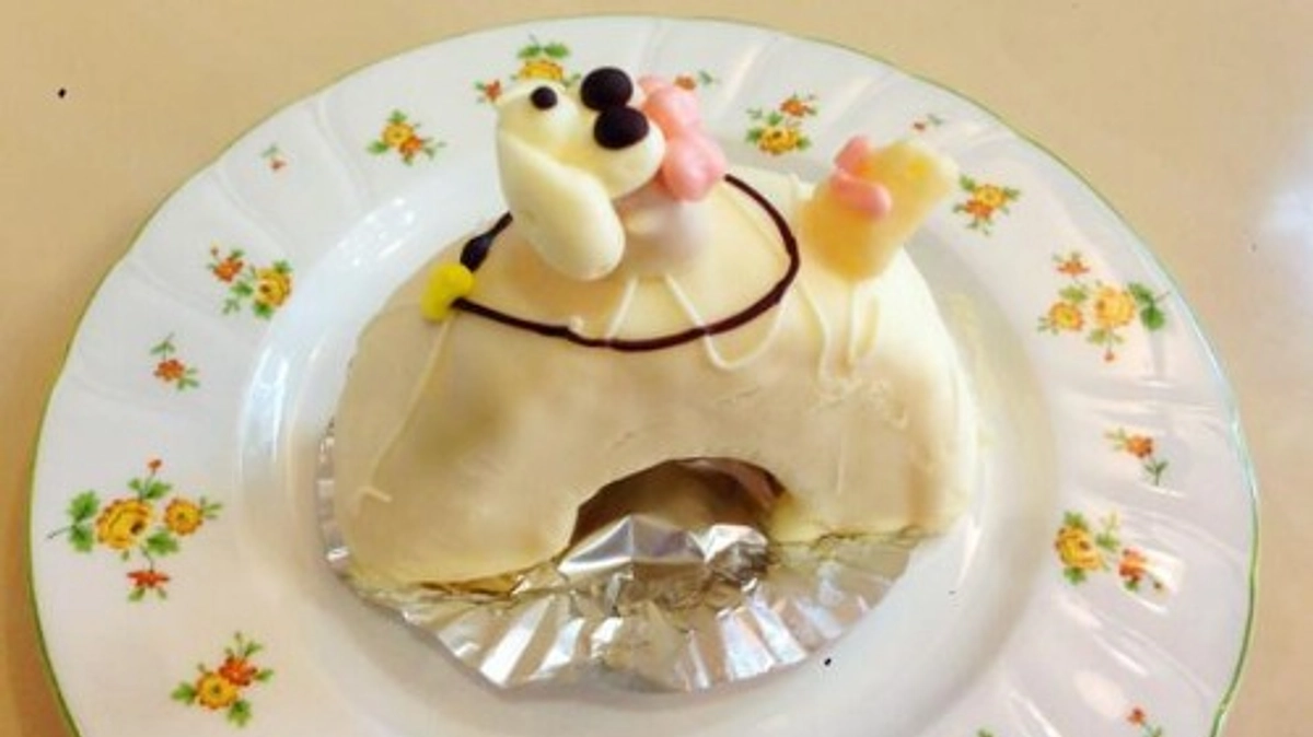 【ご報告】プードルケーキの写真が見つかりました！