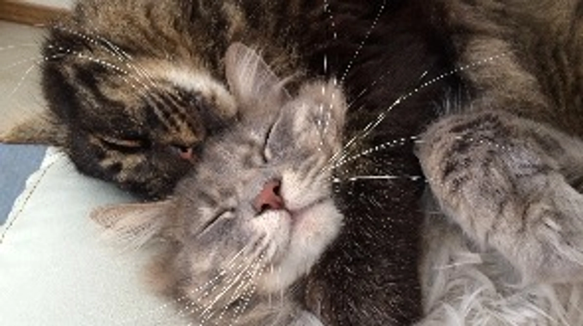 本日最終日となりました