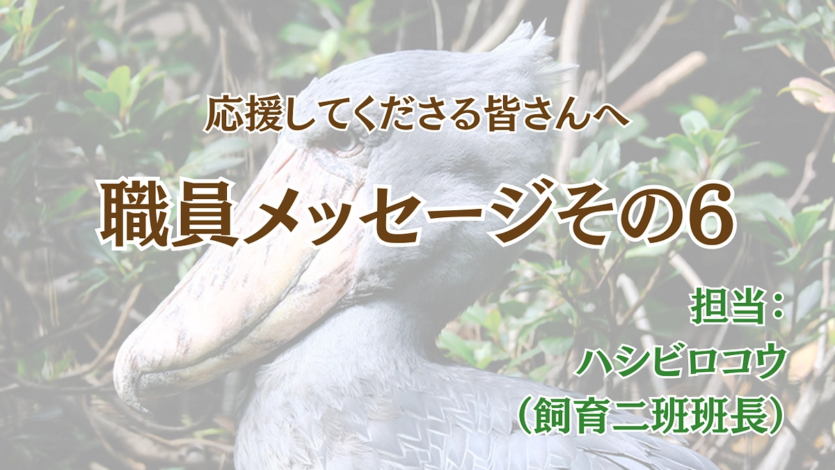 職員メッセージ第六弾〜職員から皆様に届ける思い〜
