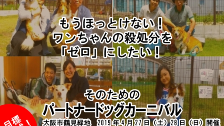 もうほっとけない!ワンちゃんの殺処分を「ゼロ」にしたい!