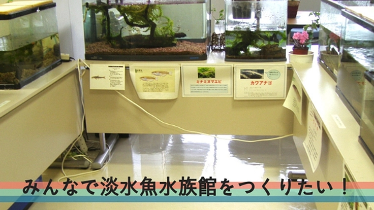 九州湯布院に、淡水魚の魅力が伝わる「国産淡水魚水族館」を開館