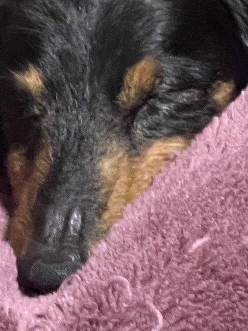 4月26日 GW前なので明日は病院