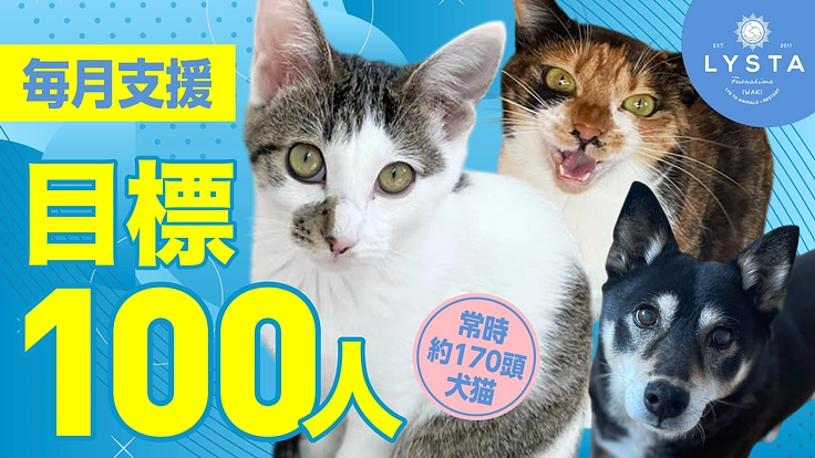 殺処分ワースト１位の福島県、まずはいわき市を殺処分ゼロへ！