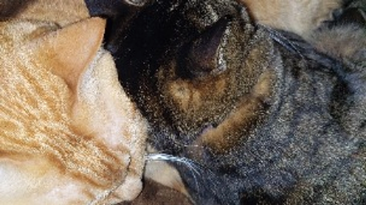 困ったもんだ～