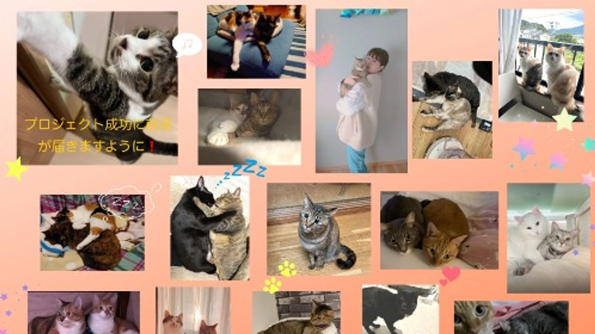 【公開初日の御礼】たくさんのご支援・お気持ちに感謝申し上げます！