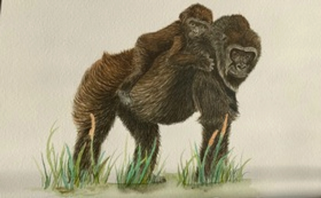 ポストカード5枚