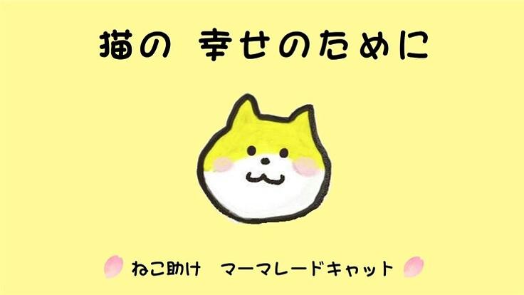 猫の幸せのために マンスリーサポーター募集中！