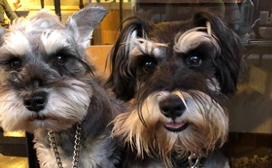 感謝のメール2000