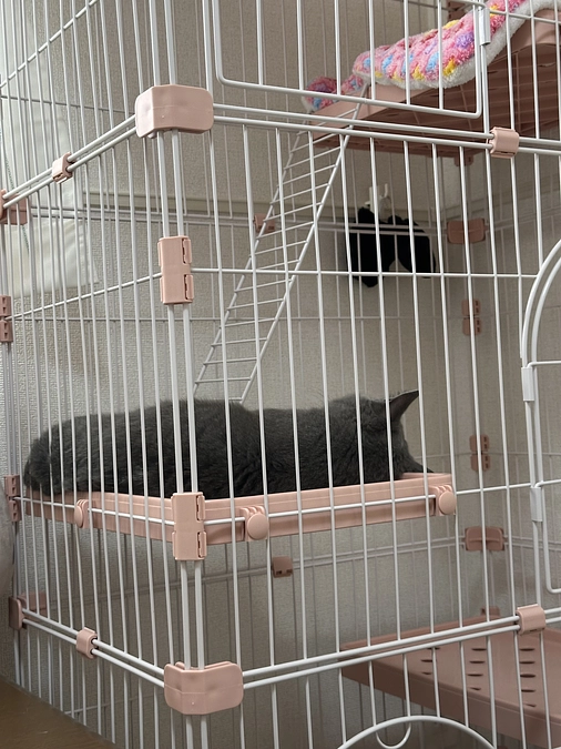 投薬治療を始めて59日目