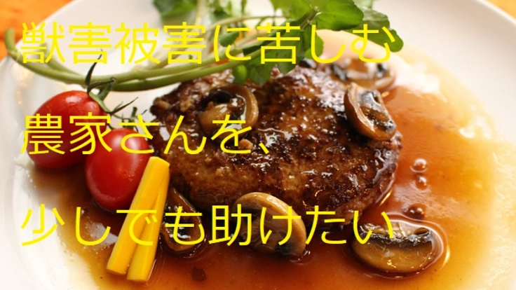 日本の農家や山村の安全を守る！ジビエ料理を知ってほしい