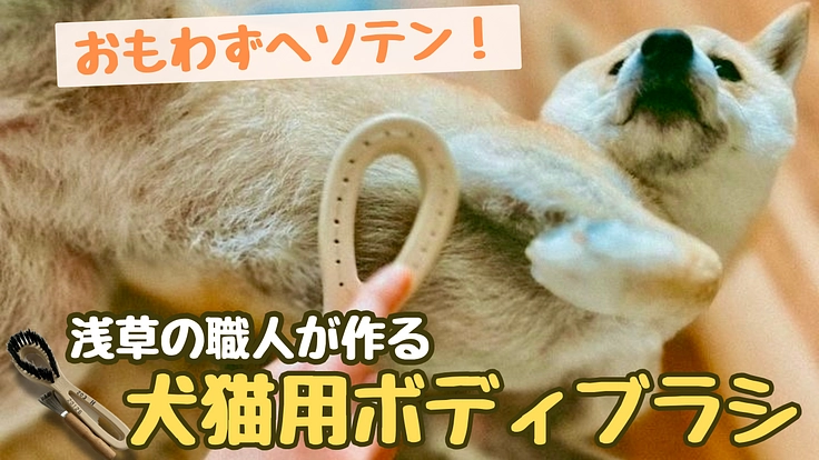 痛くないから怖くない　怖くないから気持ちいい　犬猫用ボディブラシ