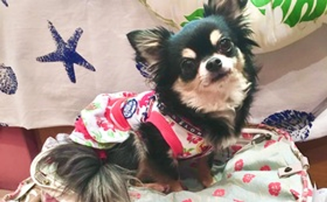 リターンなし 3000