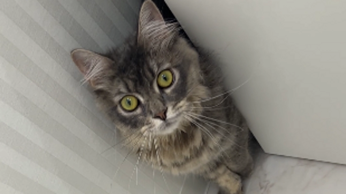 投薬22日目 久しぶりの抱っこ