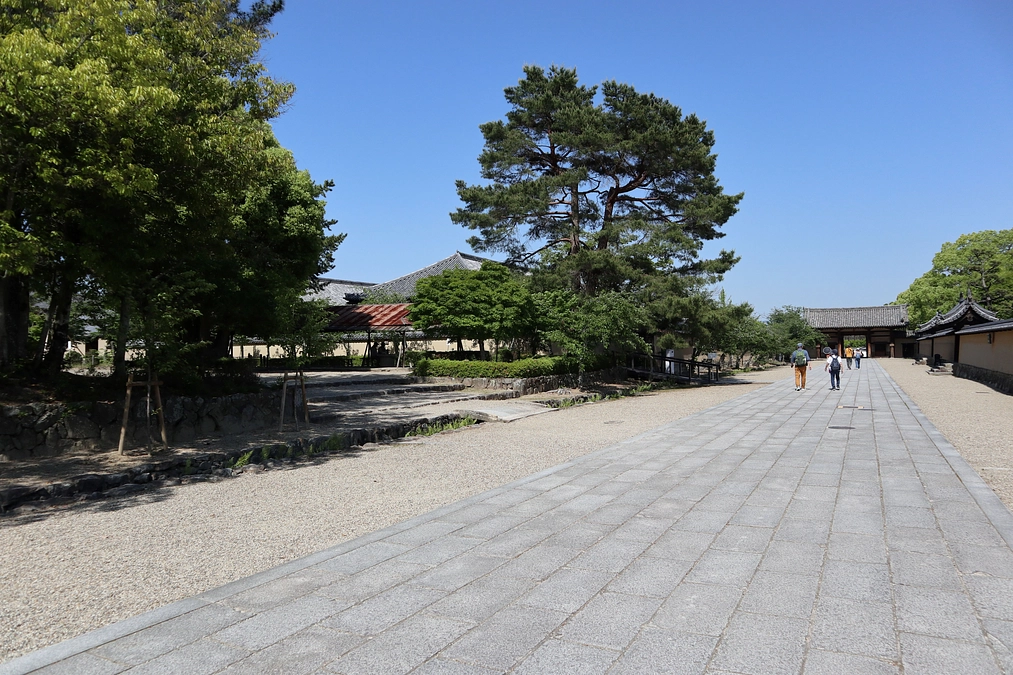 本日から公開が始まります