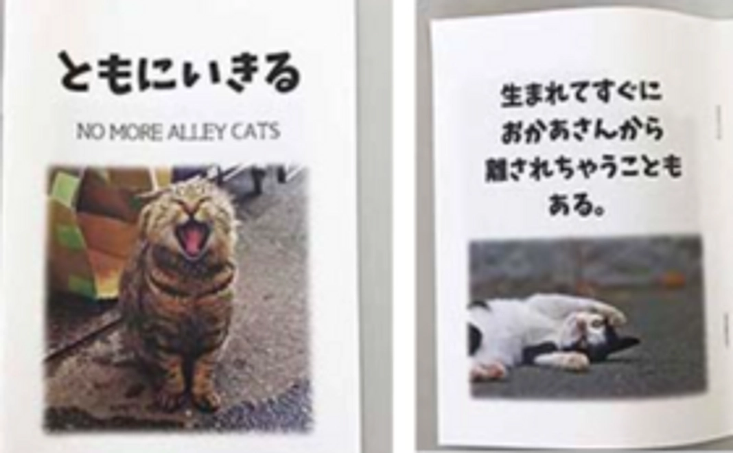NO MORE ALLEY CATSオリジナル小冊子＆サンクスメール