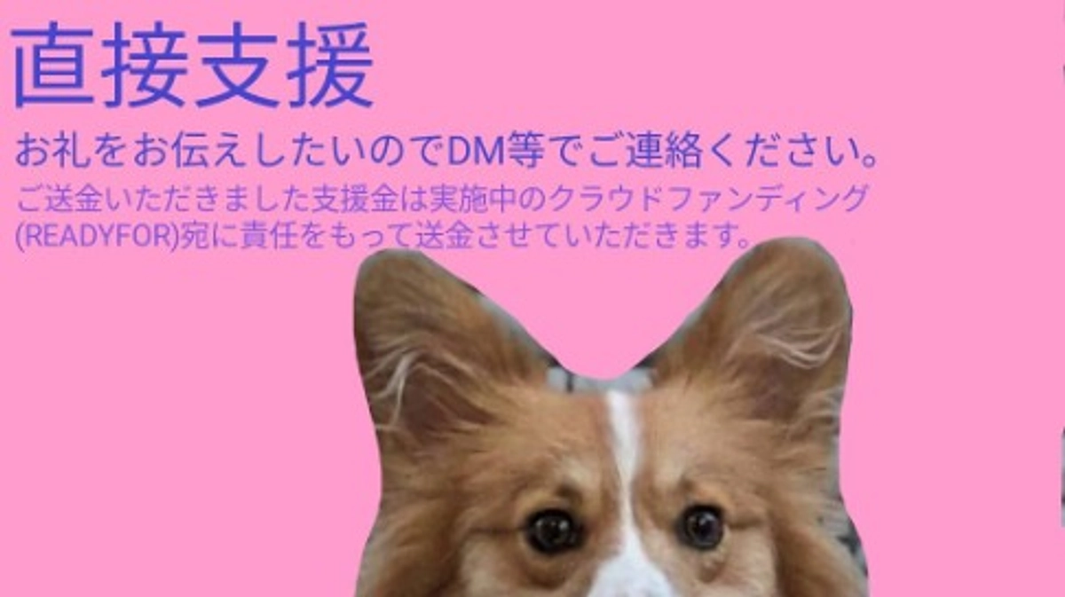 直接支援はじめました