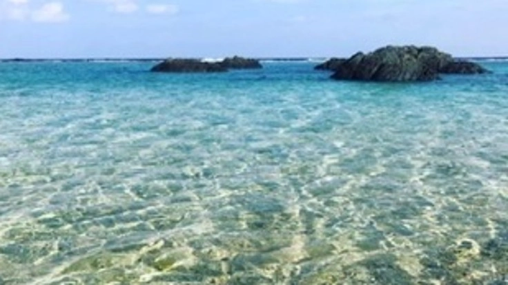 世界遺産登録された徳之島で、心身の癒しを提供したい！