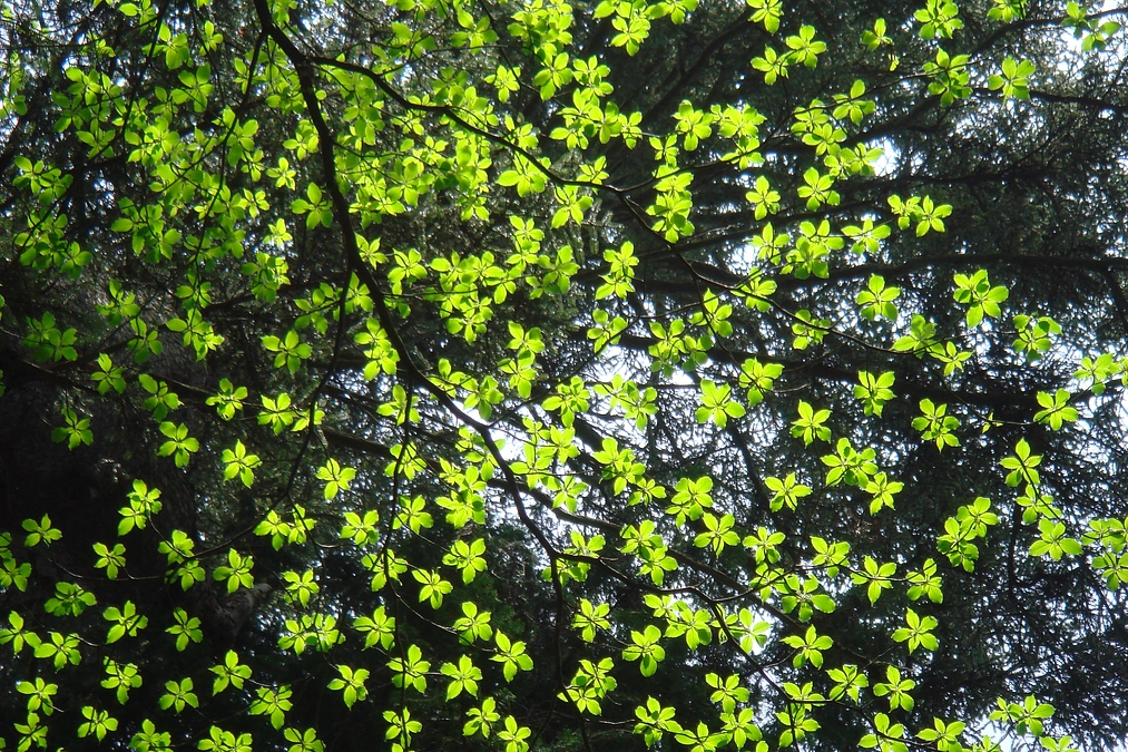 いよいよあと10日でゴールです！