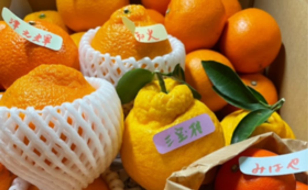 スペシャルおまかせ産直セット【10,000円】