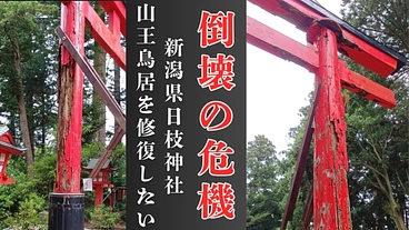 創建1200年、日枝神社｜倒壊の危機に瀕する山王鳥居再建にご支援を のトップ画像