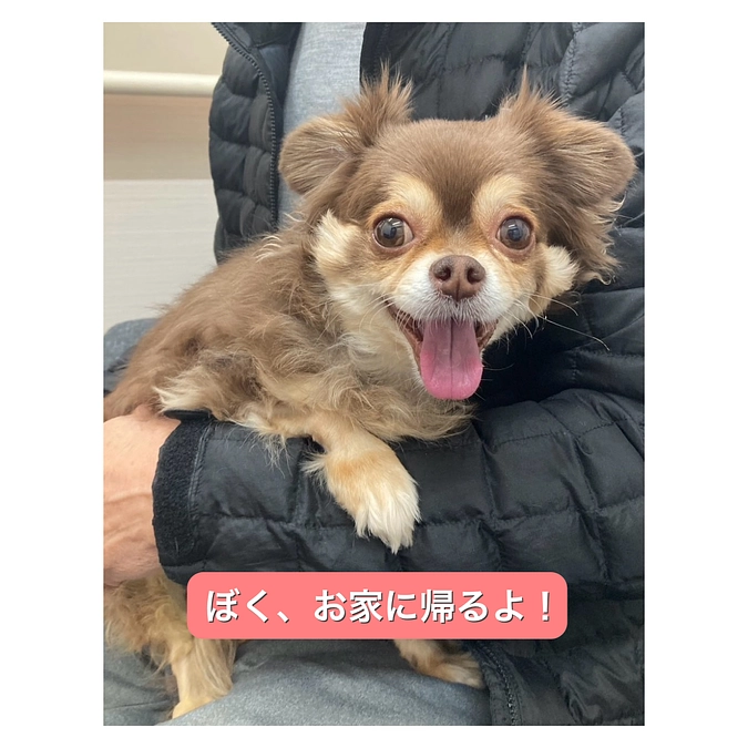 クラファン本日23時まで‼️そしてお知らせ☺️