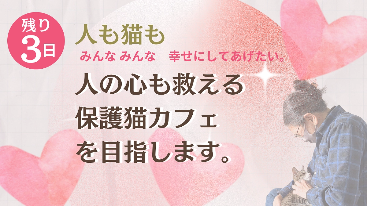 【400万迄後26万】猫だけでなく人も一緒に救える優しいお店を目指したい