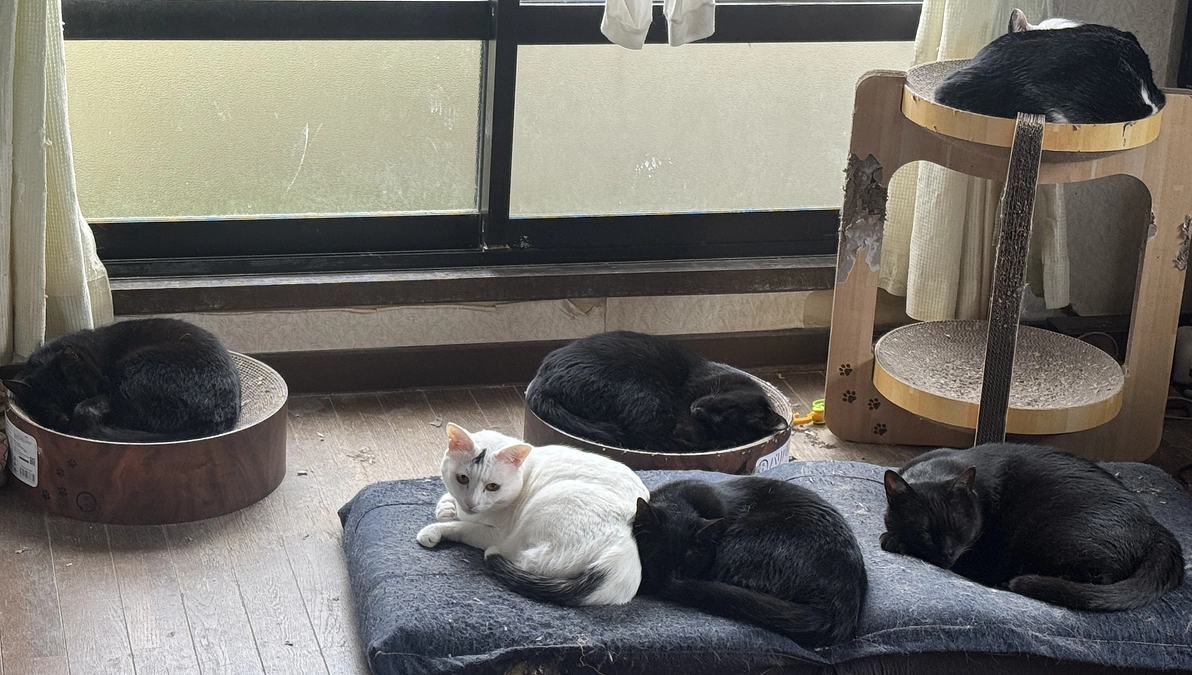 残り5日、最後の日曜日