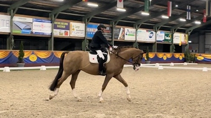 あと一歩です、夢の実現にみなさまのご支援をお願いいたします