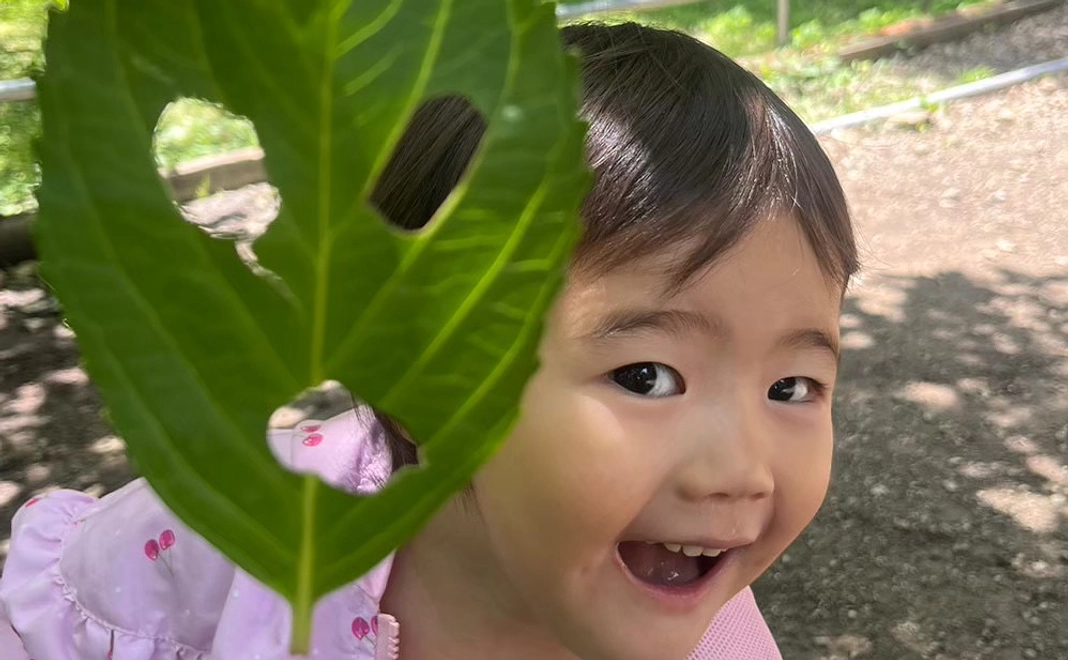 ホームページにお名前掲載千円コース