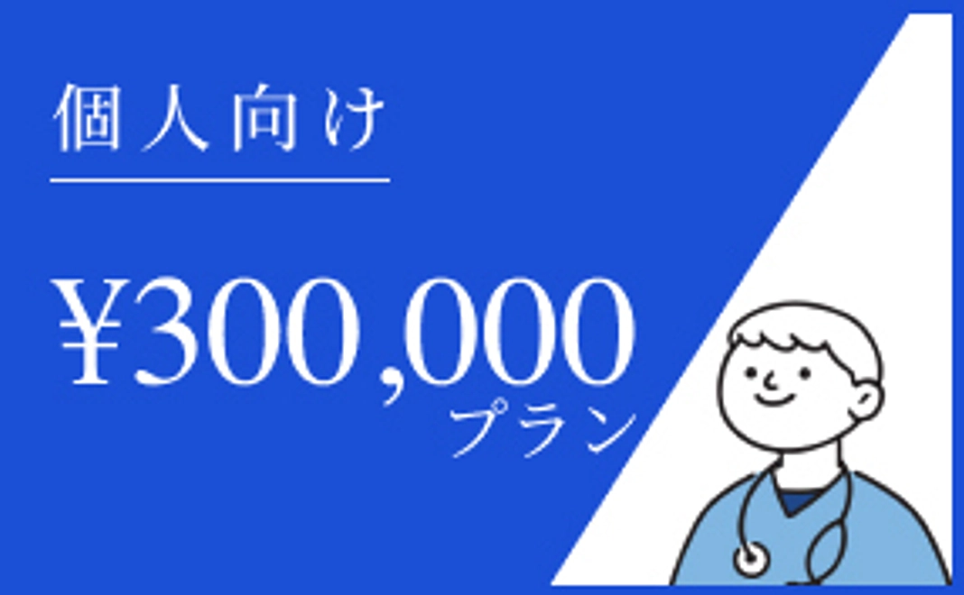 （個人向け）300,000円プラン