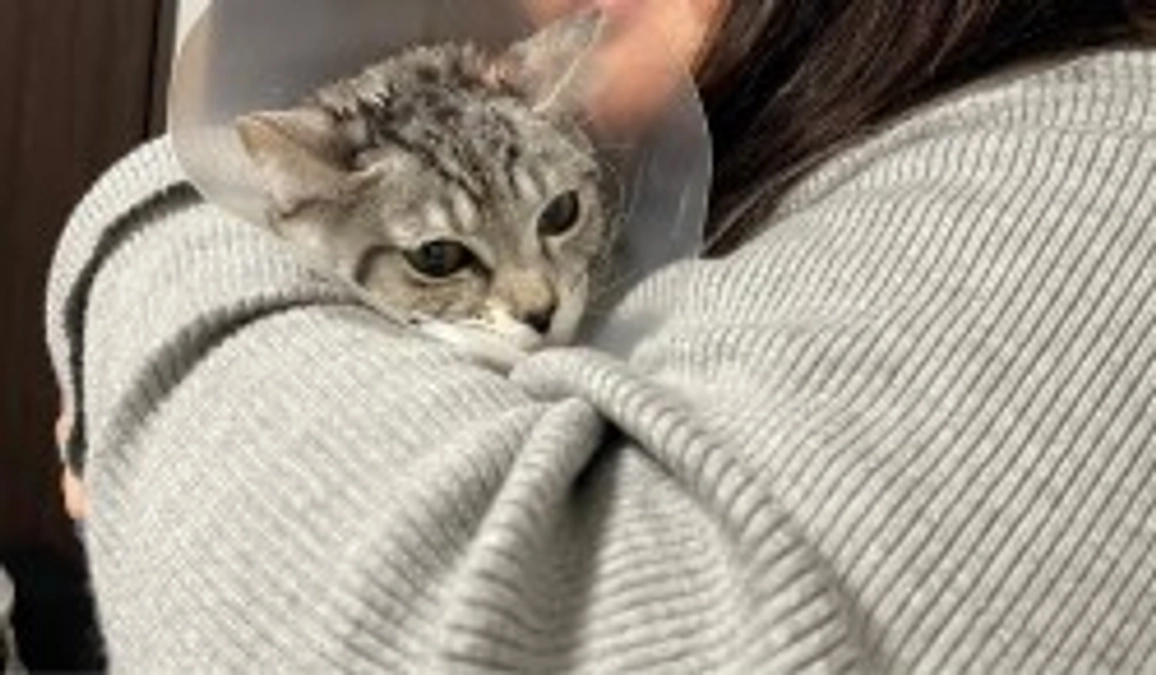 ラブアンドハンド卒業便り　シェルター風景　