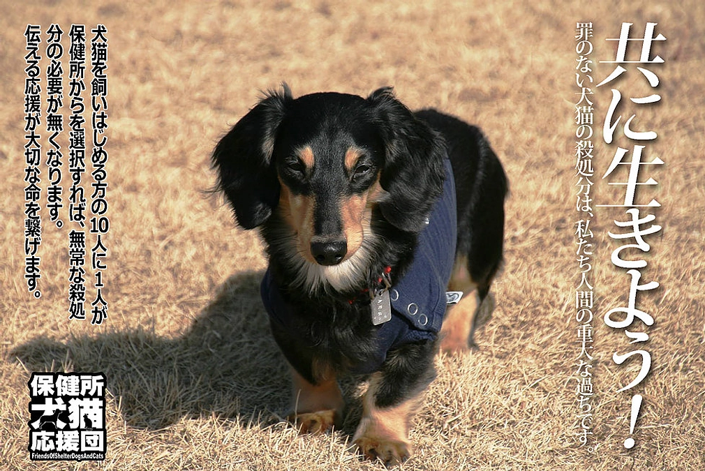 あと3日で  募集終了となります。ご支援、応援をありがとうございます。最後まで頑張ります！
