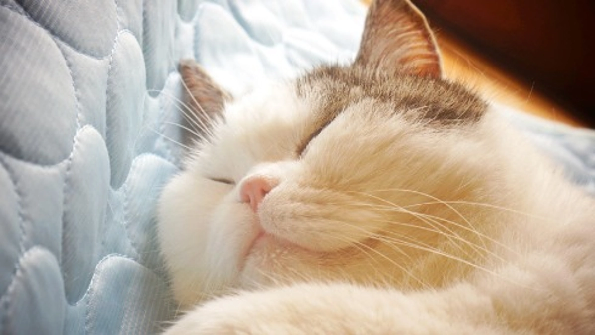 【挑戦2日目】初日からスタートダッシュ！ありがとうございます。