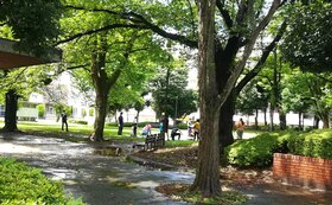 全力応援コース