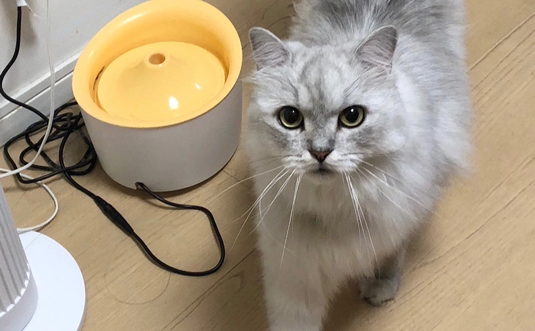 感謝のメール　5