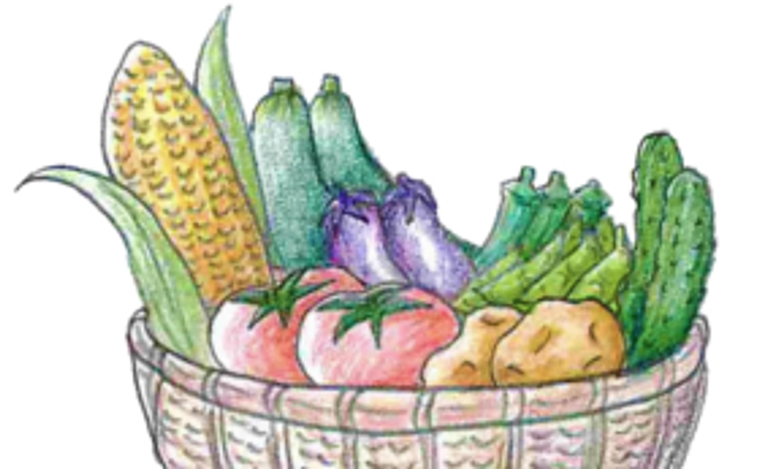 「自然農法で作った加賀の夏野菜セット」コース