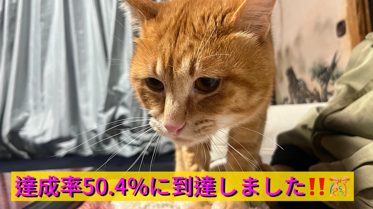 達成率50.4%到達しました🙏🎊