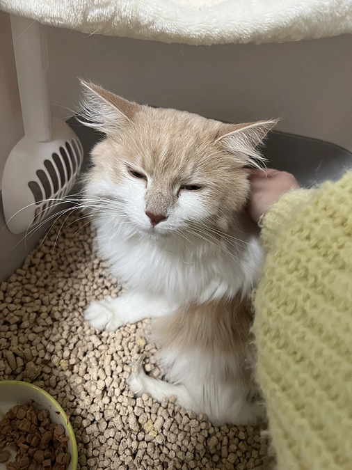 投薬36日分終わりました✨