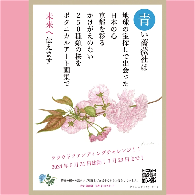 青い薔薇プロジェクト始まりました！