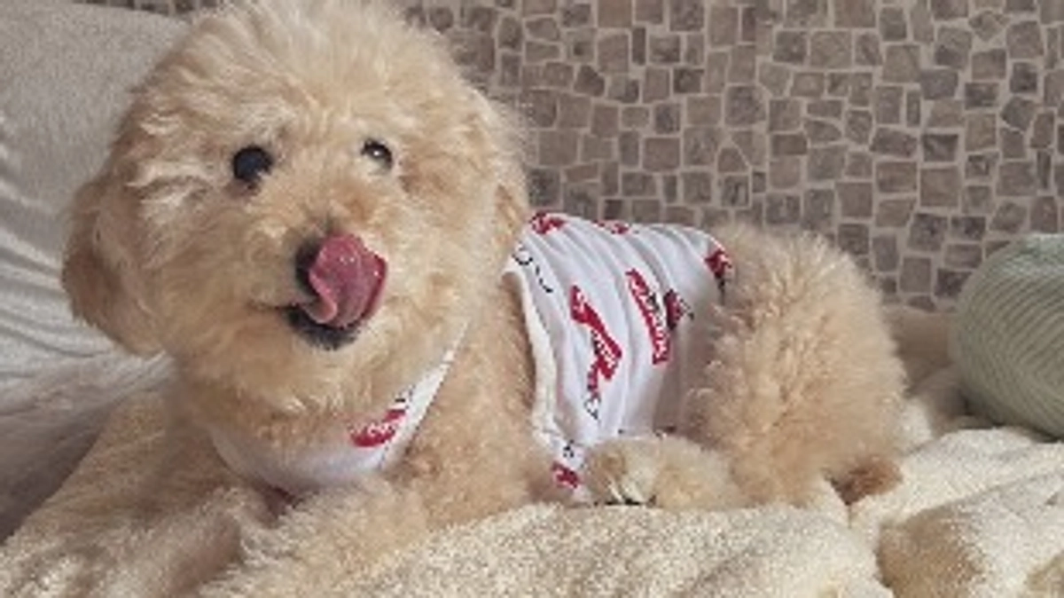 代理支援につきまして