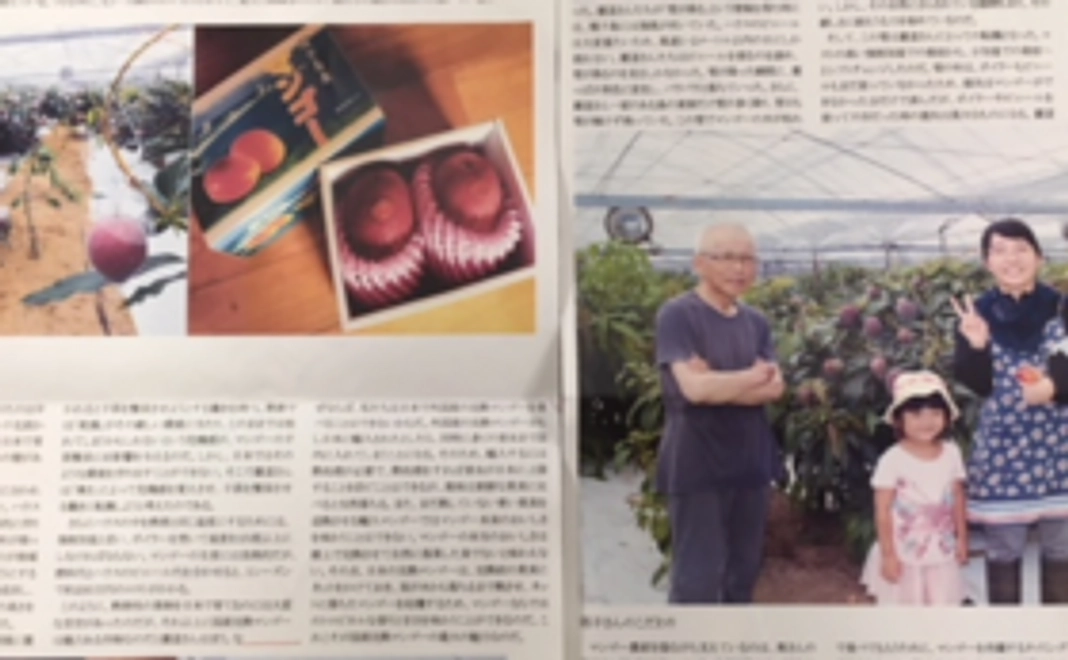 気軽に応援コース