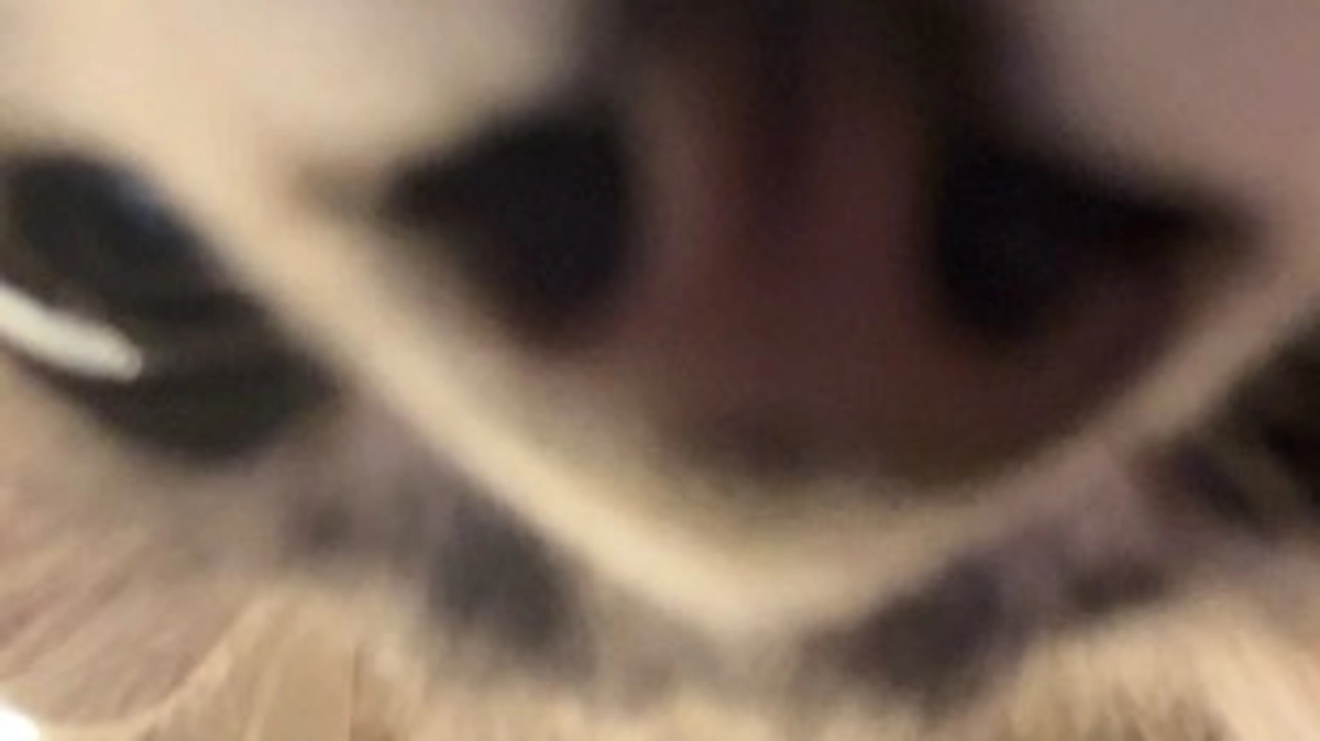 投薬45日目　TikTokもやってます